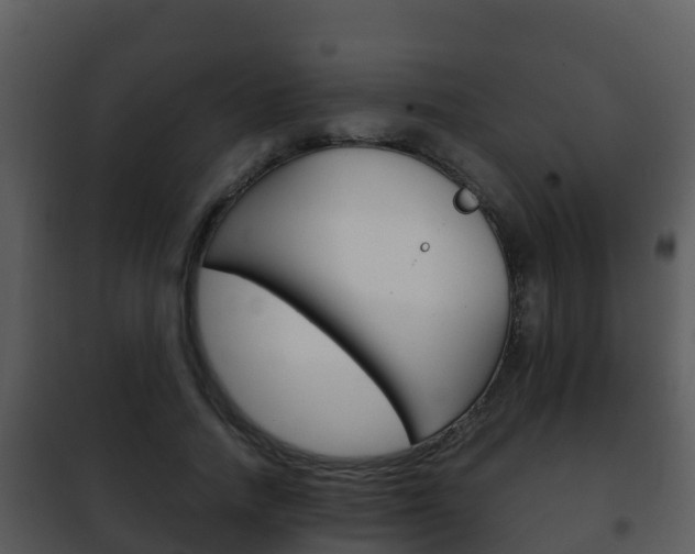 X0000101990738200807180824