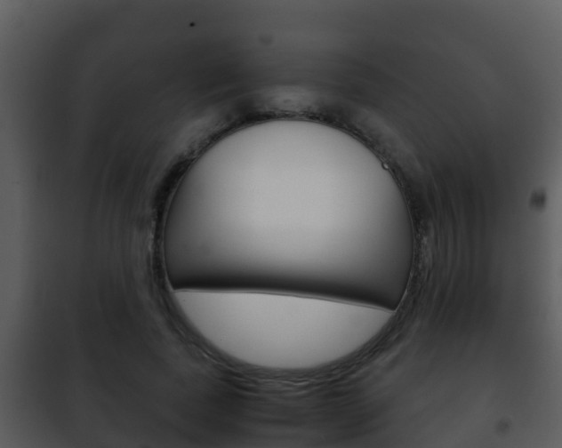 X0000101990739200807180824