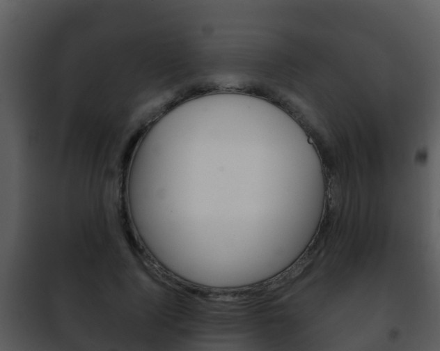 X0000101990740200807180824