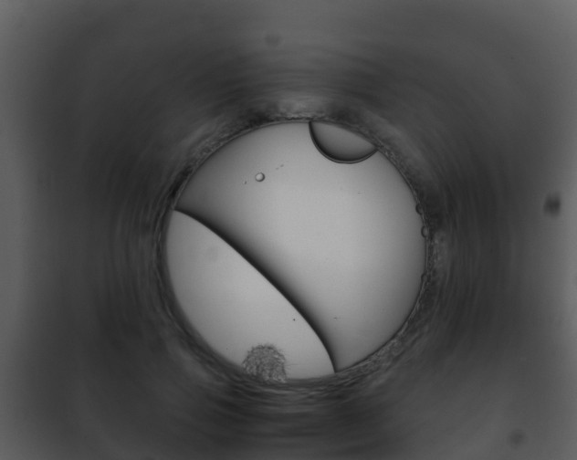 X0000101990741200807180824