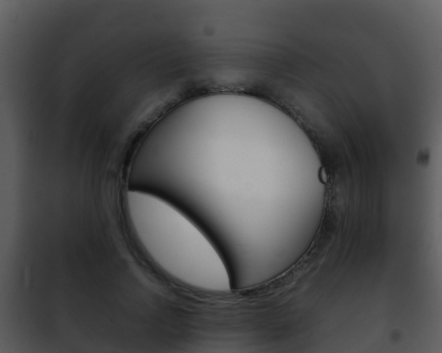 X0000101990742200807180824