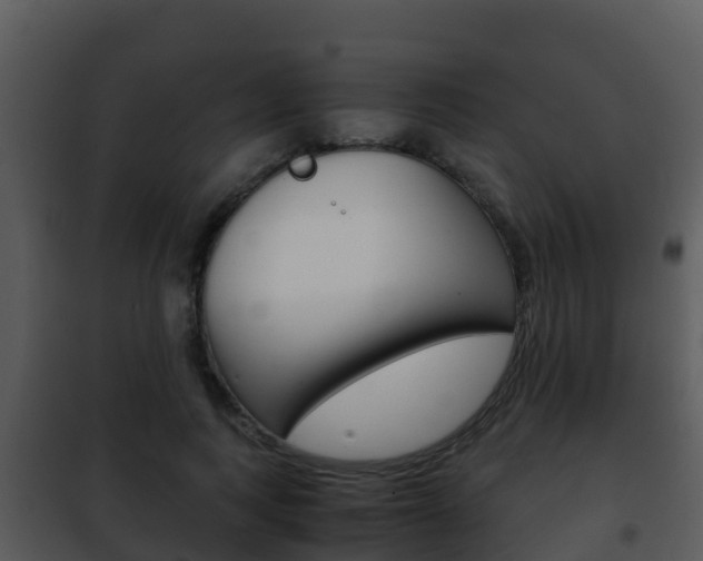 X0000101990743200807180824