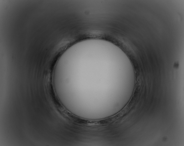 X0000101990744200807180824