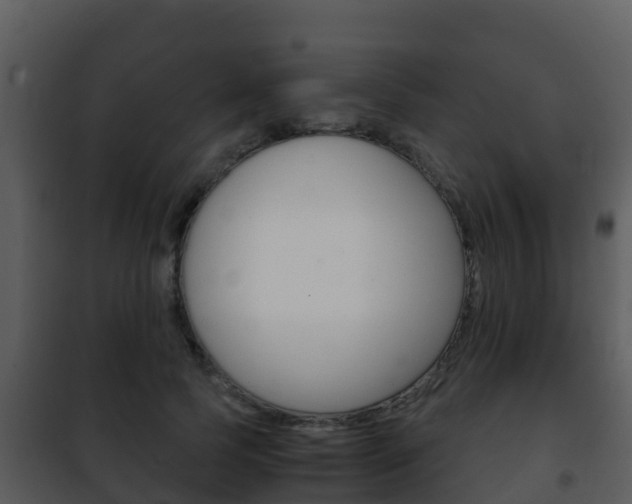 X0000101990745200807180824