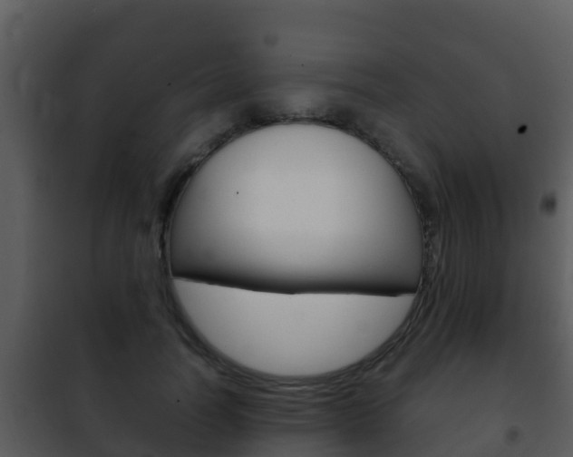 X0000101990746200807180824