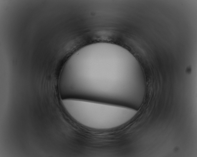 X0000101990747200807180824