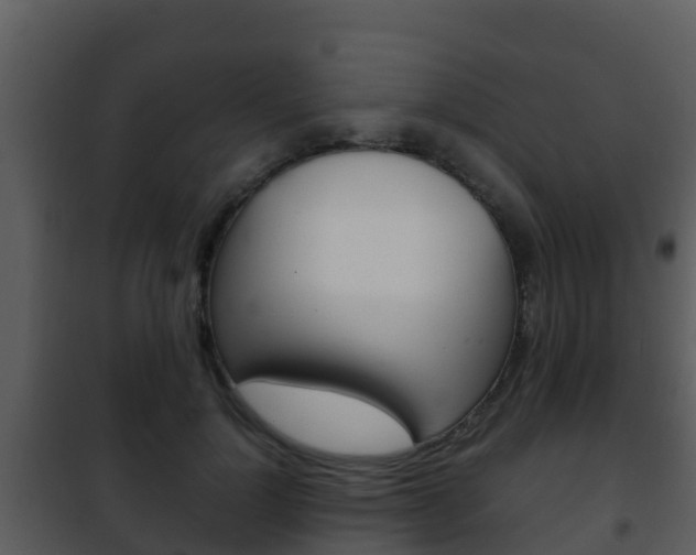 X0000101990748200807180824
