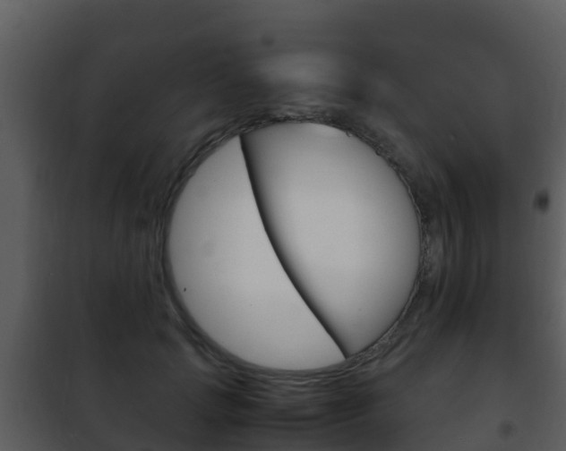 X0000101990749200807180824