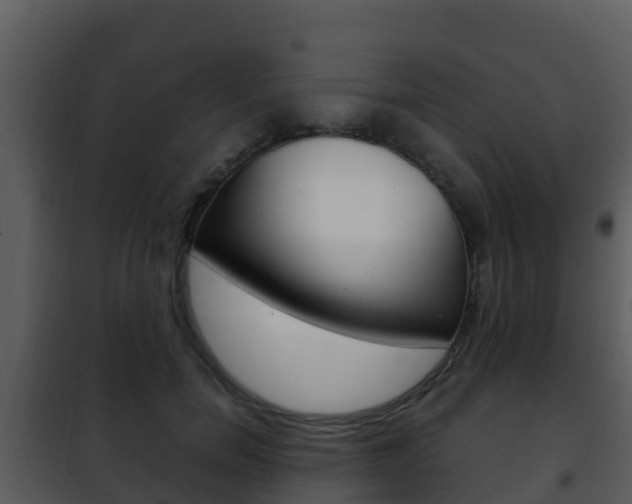 X0000101990750200807180824