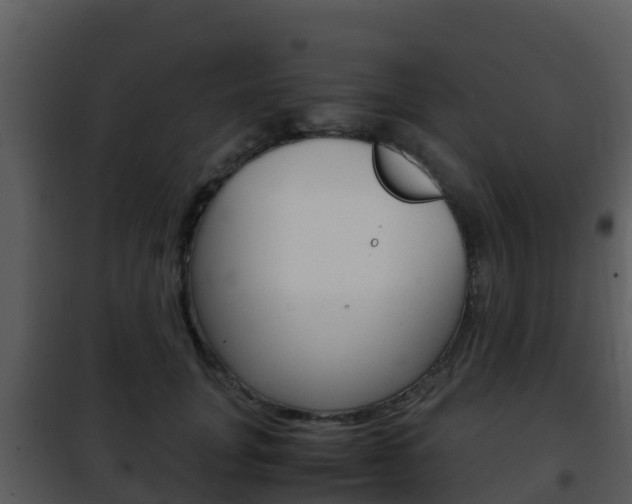 X0000101990751200807180824