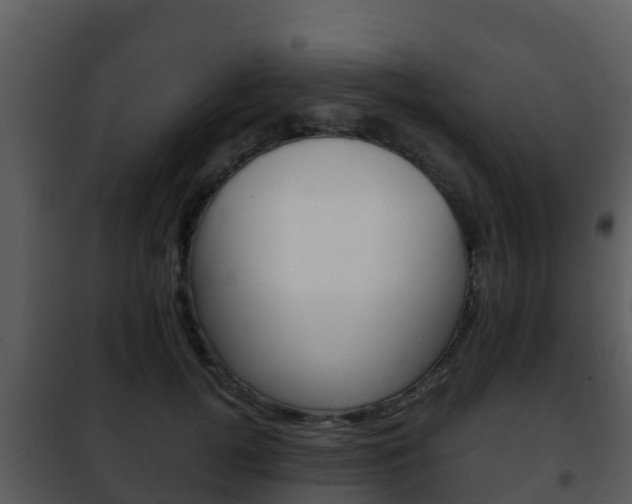 X0000101990752200807180824