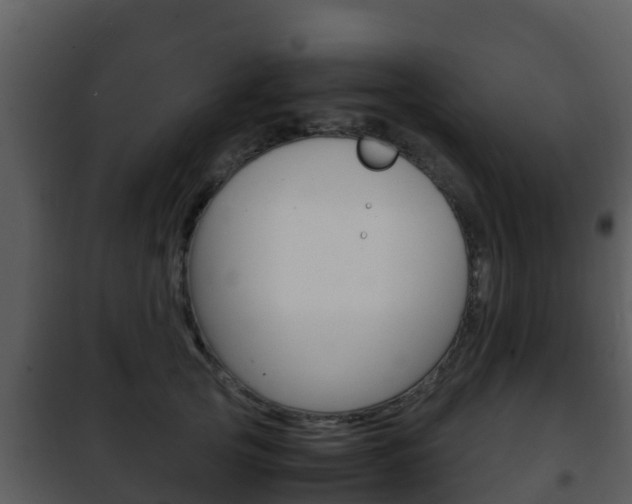 X0000101990753200807180824