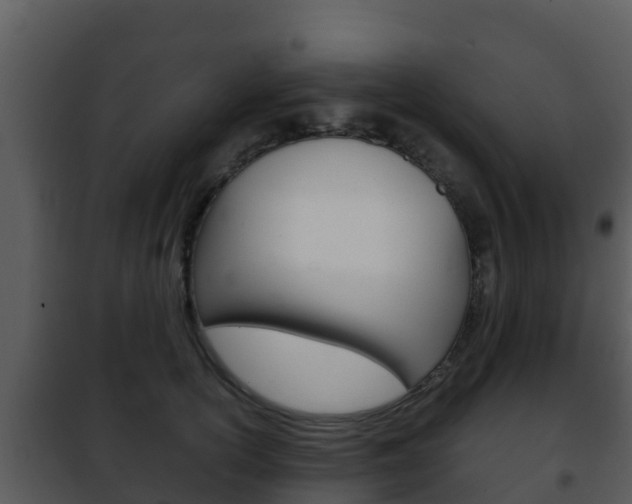 X0000101990754200807180824