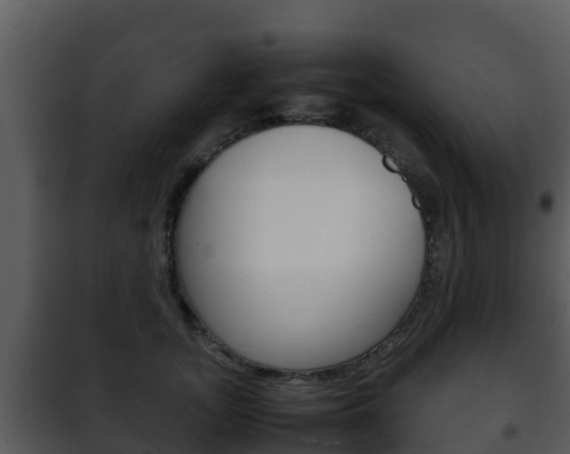 X0000101990755200807180824
