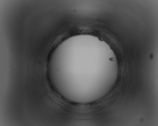 X0000101990756200807180824