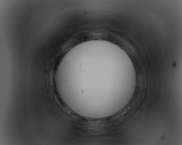 X0000101990757200807180824