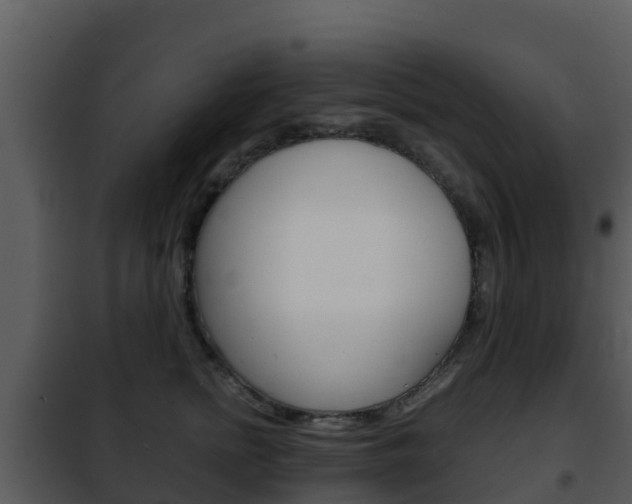 X0000101990758200807180824