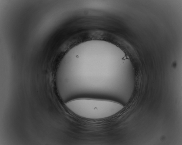 X0000101990759200807180824