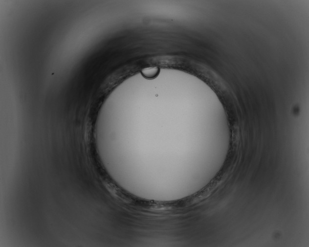 X0000101990760200807180825