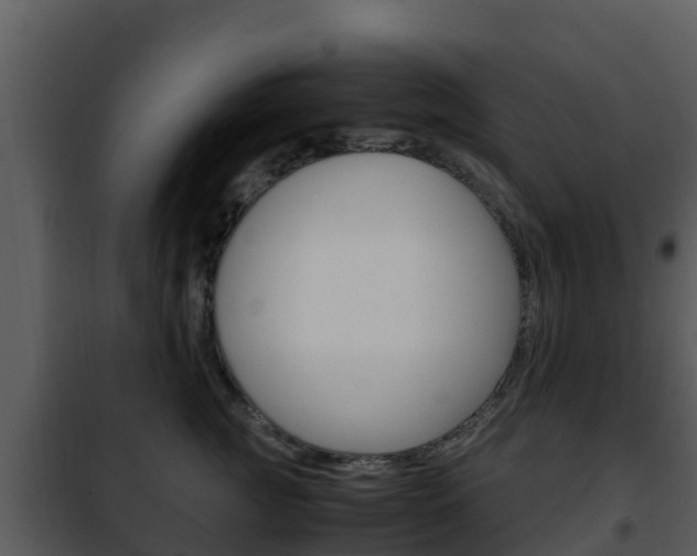 X0000101990761200807180825
