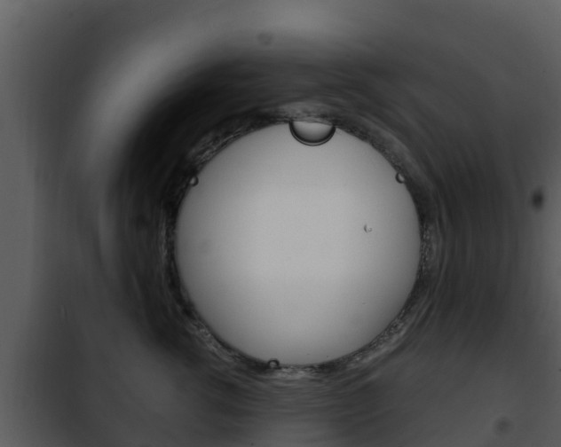 X0000101990762200807180825