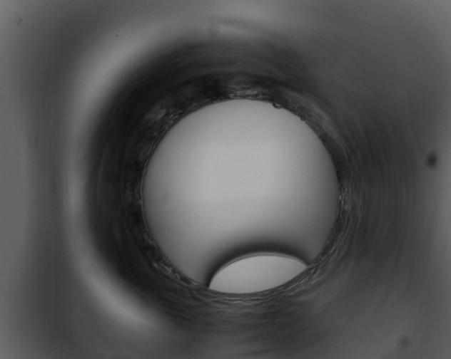 X0000101990763200807180825
