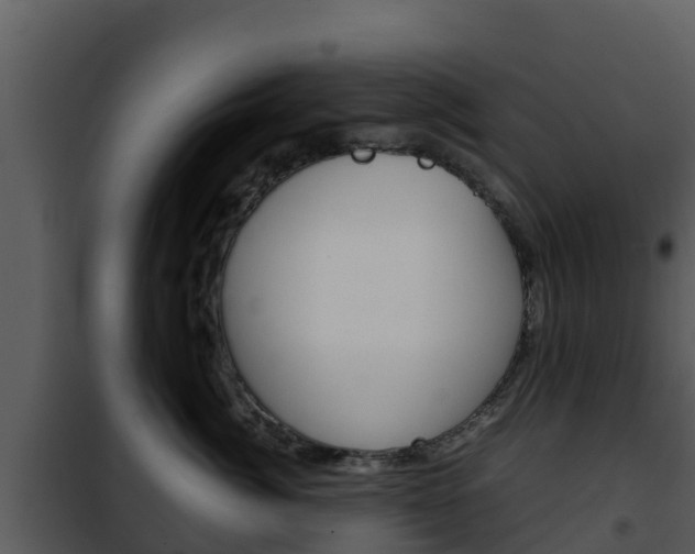 X0000101990764200807180825