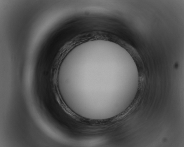 X0000101990765200807180825