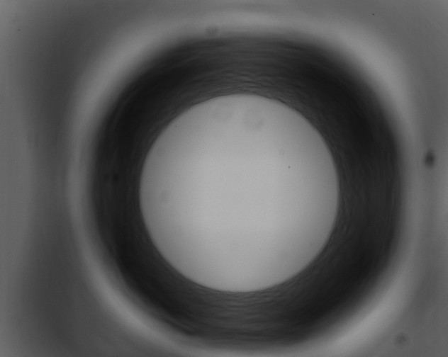 X0000101990766200807180825
