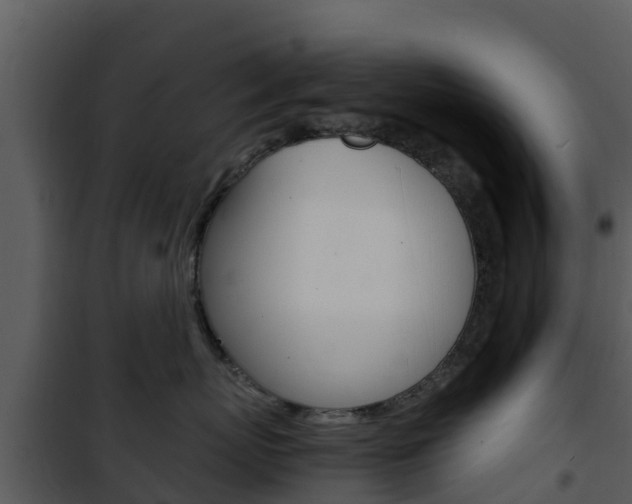 X0000101990767200807180825