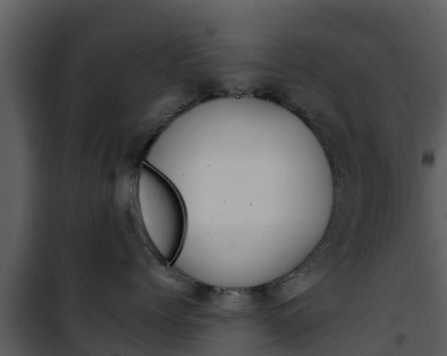 X0000101990768200807180825