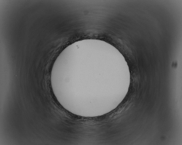 X0000101990769200807180824