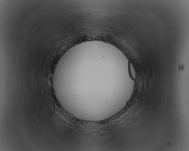 X0000101990770200807180824