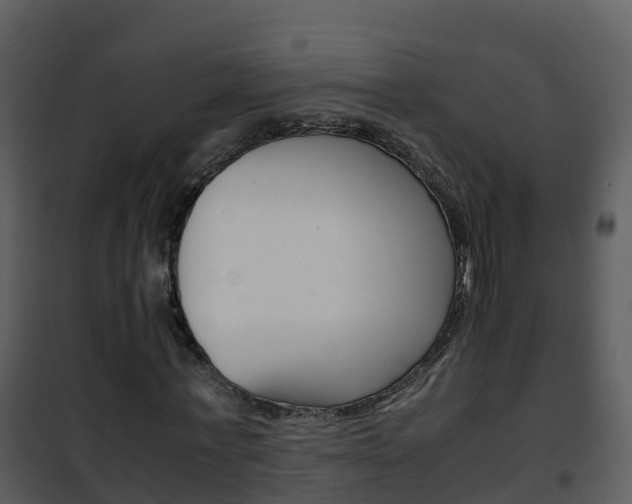 X0000101990771200807180824