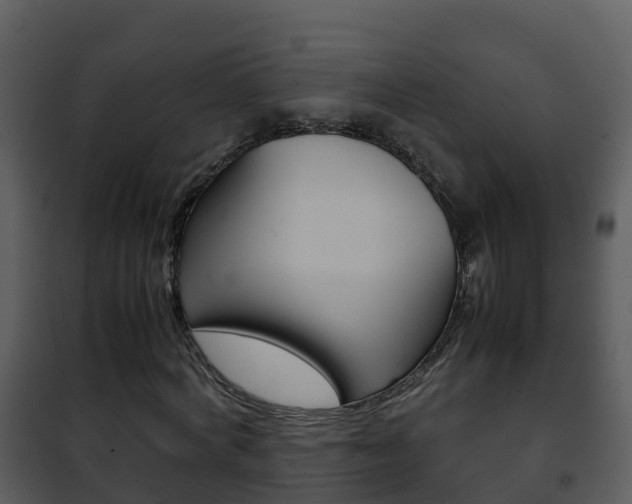 X0000101990772200807180824