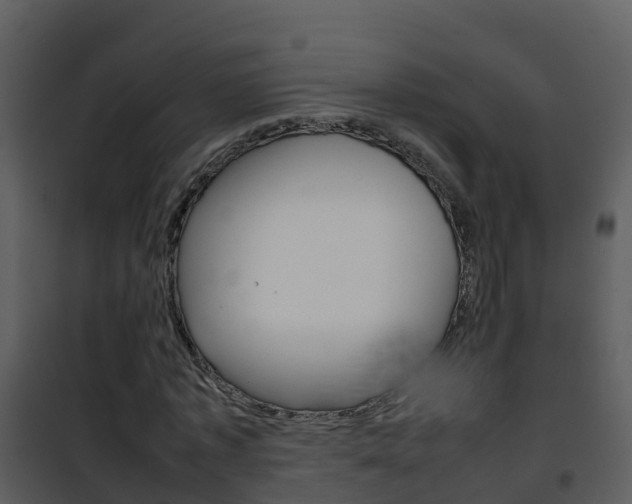 X0000101990773200807180824