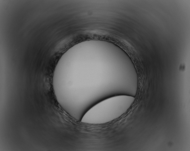 X0000101990774200807180824