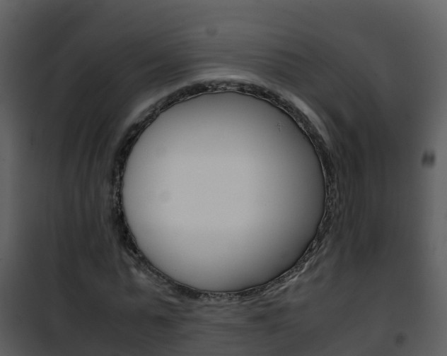 X0000101990775200807180824