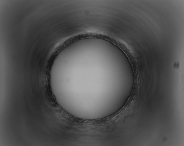 X0000101990776200807180824