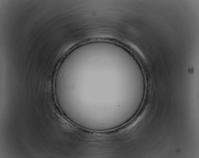 X0000101990777200807180824