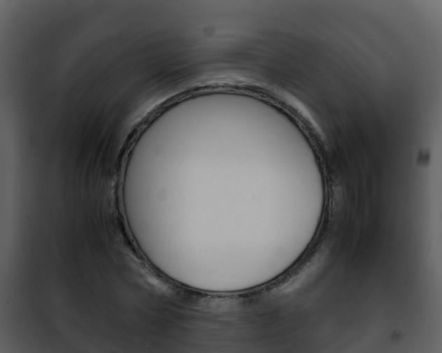 X0000101990778200807180824