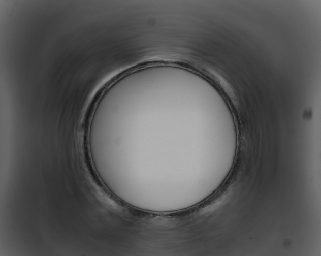 X0000101990779200807180824