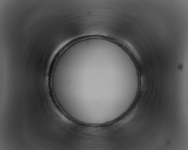 X0000101990780200807180824