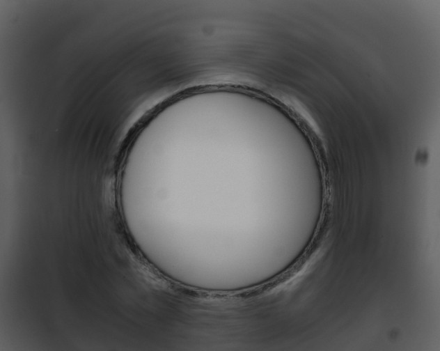 X0000101990781200807180824