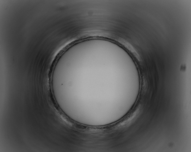 X0000101990782200807180824