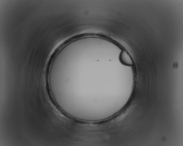 X0000101990783200807180824