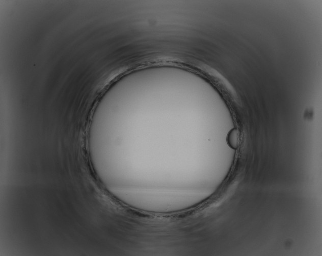 X0000101990785200807180824