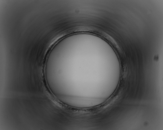 X0000101990786200807180824