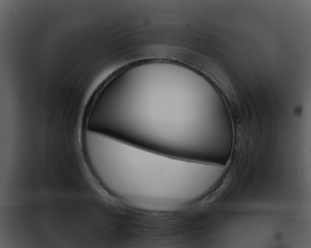 X0000101990788200807180824