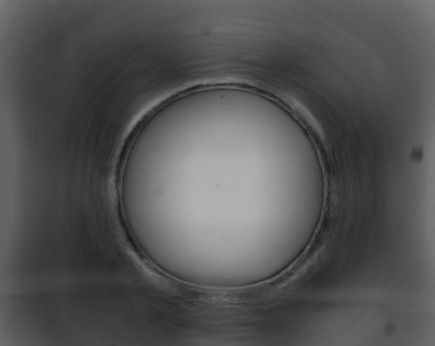X0000101990789200807180823